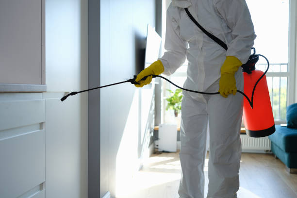 Best Residential Mold Remediation in Oak Grove, MS