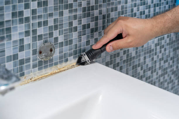 Best Insurance-Related Mold Remediation in Oak Grove, MS